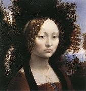 LEONARDO da Vinci Portrait of Ginevra de Benci oil painting artist